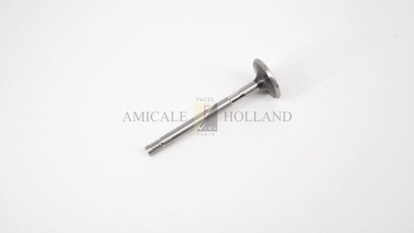 Set (2) exhaust valves 383