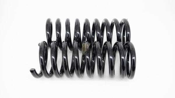 Set (2) front springs Facel 3/6 Facellia (NOS)