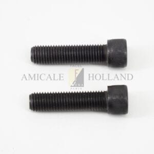 Bolt (to fix front caliper)  each