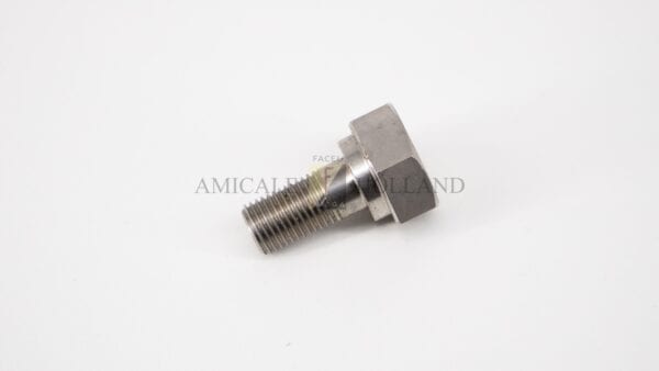 Vis du raccord orientable + 2 rondelles en cuivre (pour raccord d'origine)