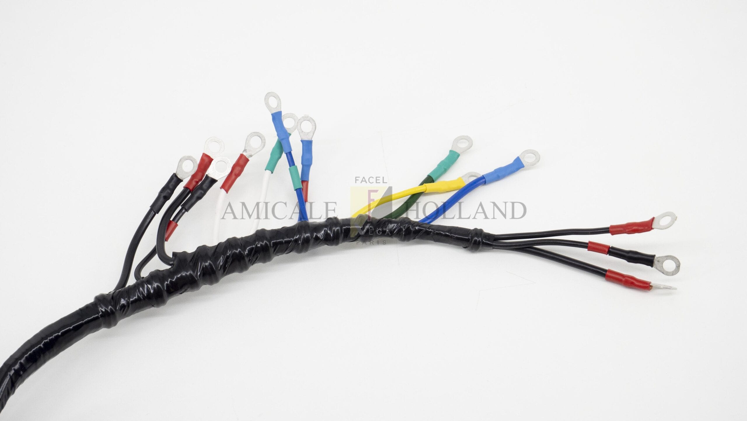 Wiring-loom Excellence