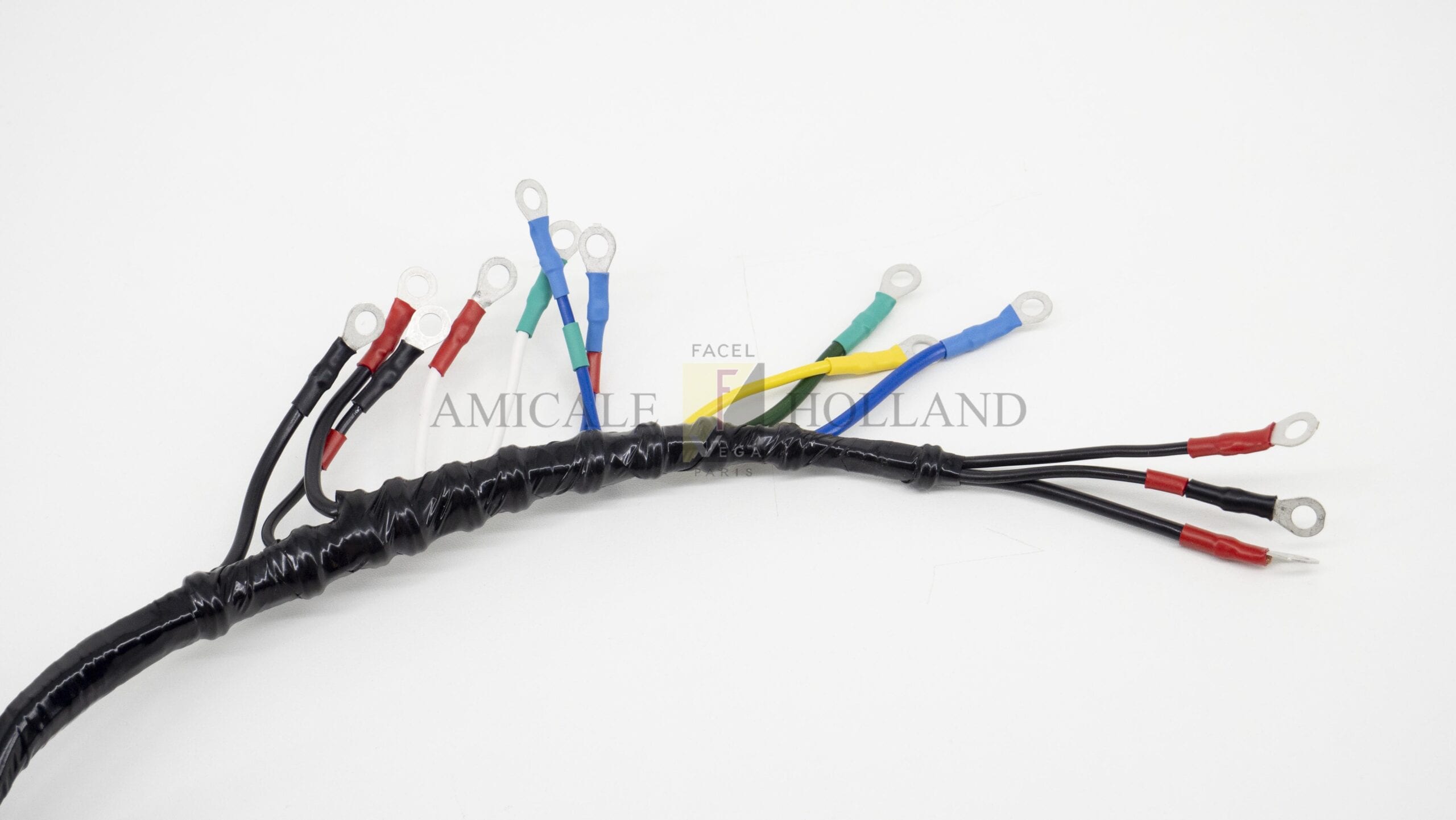 Wiring-loom Facel III