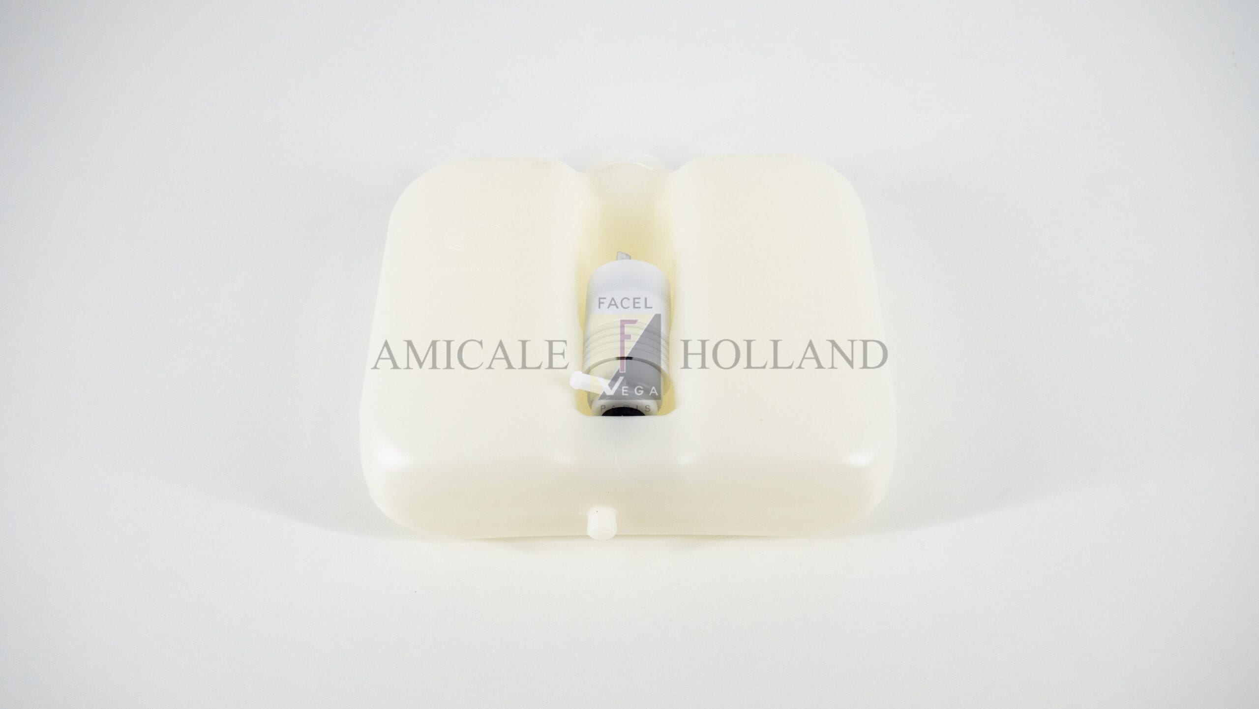 Windscreen washer reservoir with electric pump (altern)