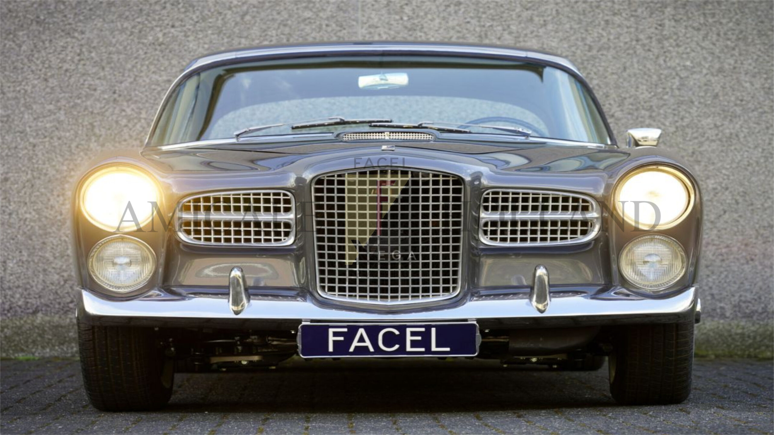 Windscreen FV/HK-500/Exc tinted with band