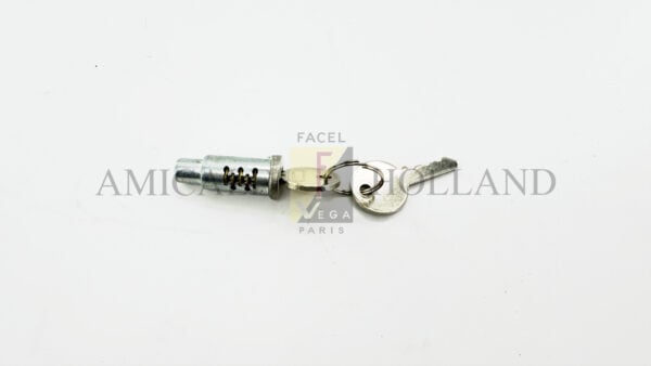 Lock, cylinder and keys for door